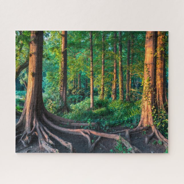 Forests | Greenery & Woodland Jigsaw Puzzle (Horizontal)