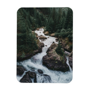 Forests Grison Graubunden Canton Magnet