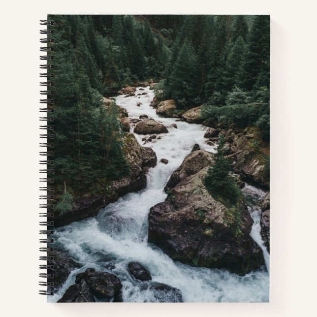Forests | Grison Graubunden Canton Notebook (Front)