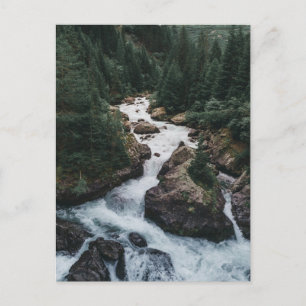Forests Grison Graubunden Canton Postcard