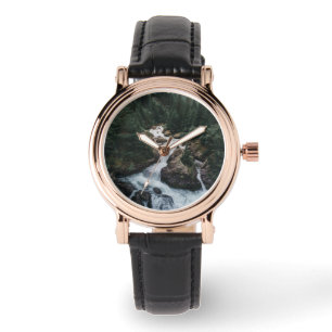 Forests   Grison Graubunden Canton Watch