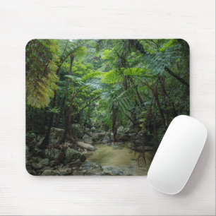 Forests Iriomote Ishigaki National Park Mouse Pad