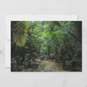 Forests Iriomote Ishigaki National Park Thank You Card
