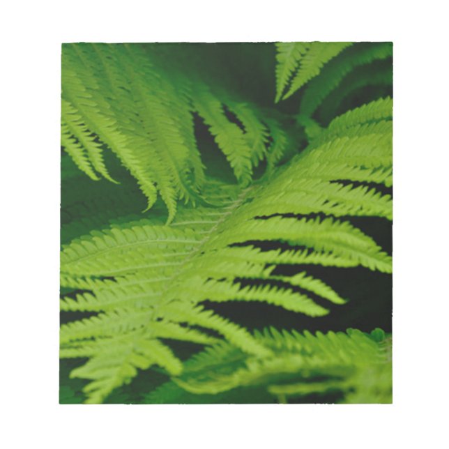 Forests & Jungles Notepad (Front)