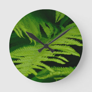 Forests & Jungles Round Clock