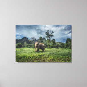 Forests Kao Sok National Park Canvas Print