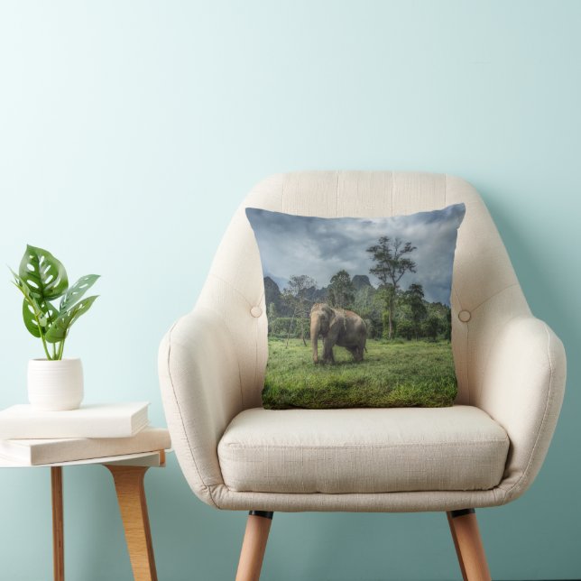 Forests | Kao Sok National Park Cushion (Chair)