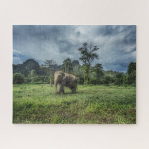 Forests Kao Sok National Park Jigsaw Puzzle
