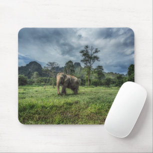 Forests Kao Sok National Park Mouse Pad