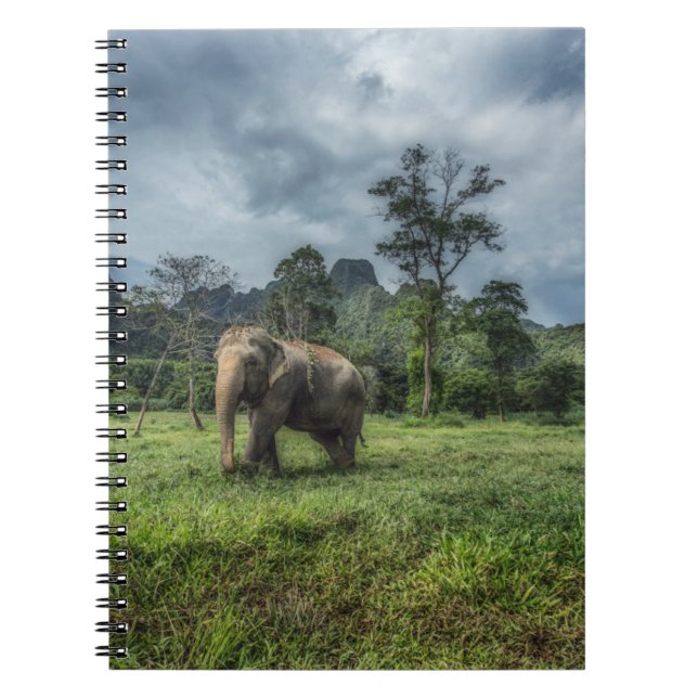 Forests | Kao Sok National Park Notebook (Front)