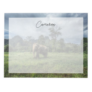 Forests Kao Sok National Park Notepad