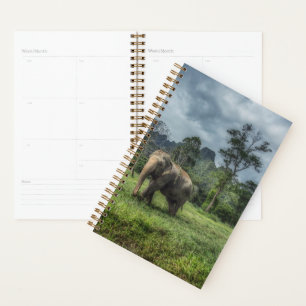Forests Kao Sok National Park Planner