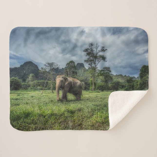 Forests | Kao Sok National Park Sherpa Blanket (Front (Horizontal))