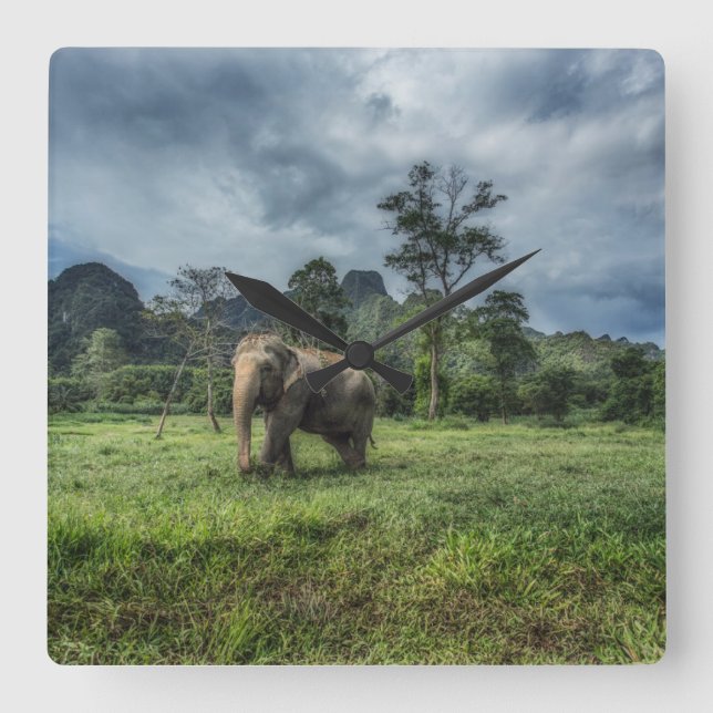 Forests | Kao Sok National Park Square Wall Clock (Front)