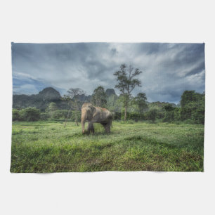 Forests   Kao Sok National Park Tea Towel