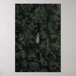 Forests Lalibela Game Reserve Poster