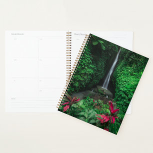 Forests   Leke Leke Waterfalls in Bali Planner