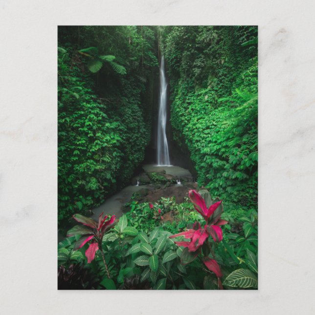 Forests | Leke Leke Waterfalls in Bali Postcard (Front)