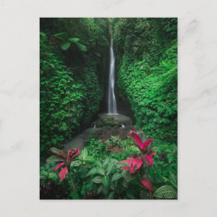 Forests   Leke Leke Waterfalls in Bali Postcard
