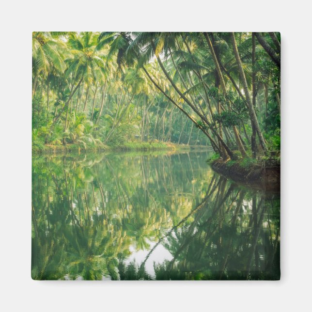 Forests | Mangrove Forest Magnet (Front)