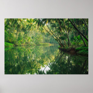 Forests   Mangrove Forest Poster