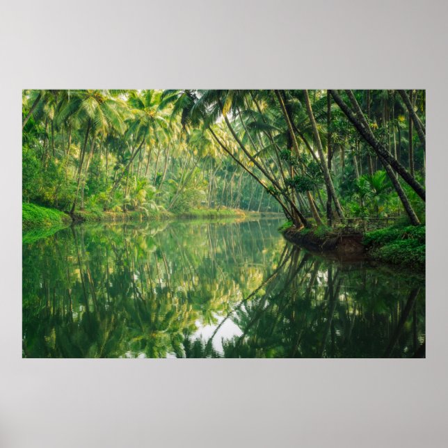 Forests | Mangrove Forest Poster (Front)