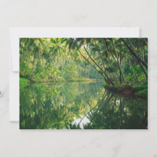 Forests   Mangrove Forest Thank You Card