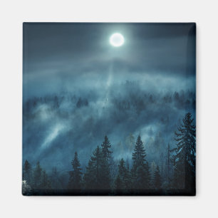 Forests   Moonlit Forest Magnet