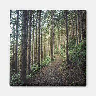 Forests Mountains of Wakayama Japan Magnet