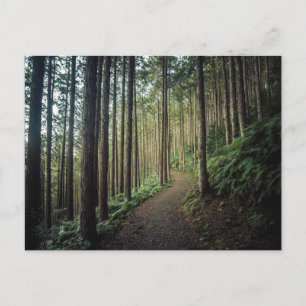Forests Mountains of Wakayama Japan Postcard