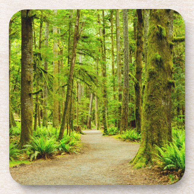 Forests | Olympic National Park Coaster (Front)