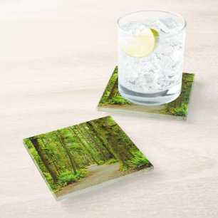 Forests Olympic National Park Glass Coaster