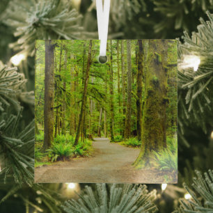 Forests   Olympic National Park Glass Tree Decoration