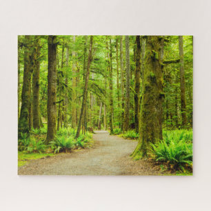 Forests   Olympic National Park Jigsaw Puzzle