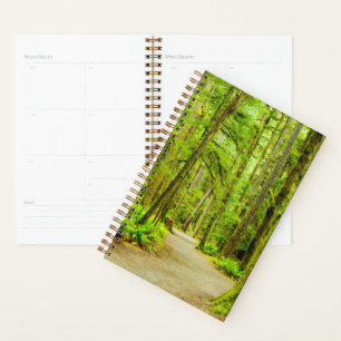 Forests Olympic National Park Planner