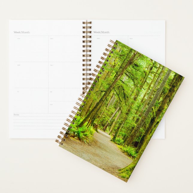 Forests | Olympic National Park Planner (Display)