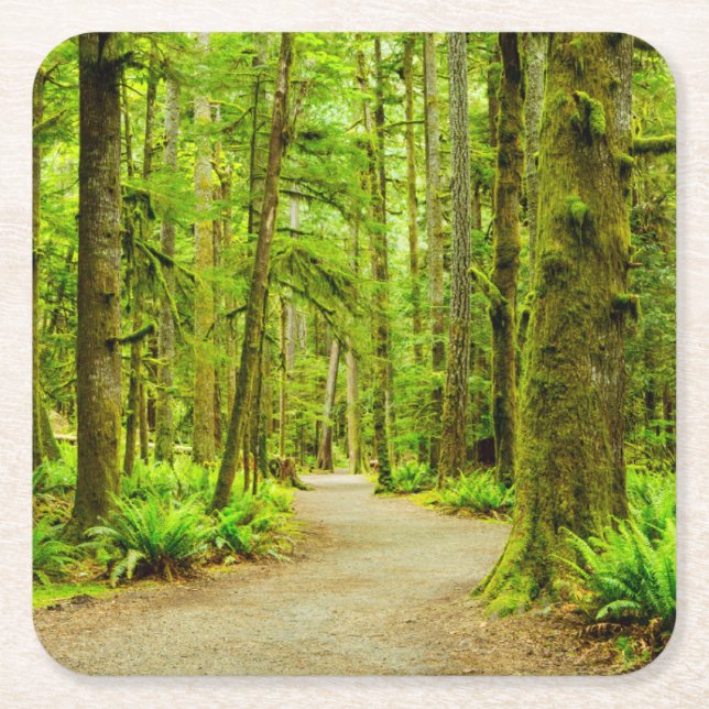 Forests | Olympic National Park Square Paper Coaster (Front)
