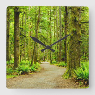 Forests Olympic National Park Square Wall Clock