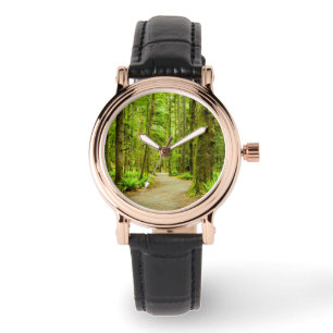 Forests Olympic National Park Watch