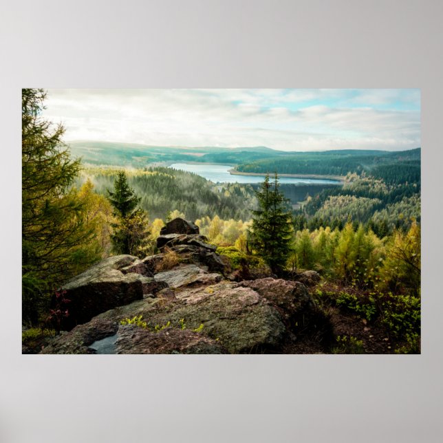Forests | Ore Mountains Germany Poster (Front)