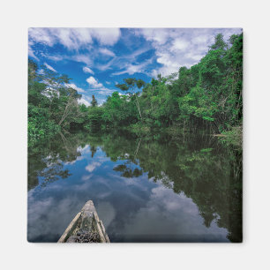 Forests Peruvian Jungle Forest Magnet