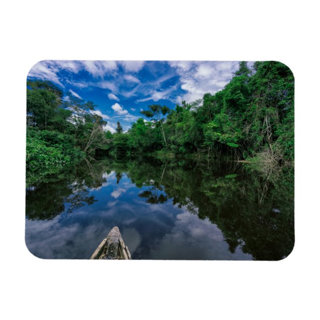 Forests | Peruvian Jungle Forest Magnet (Horizontal)