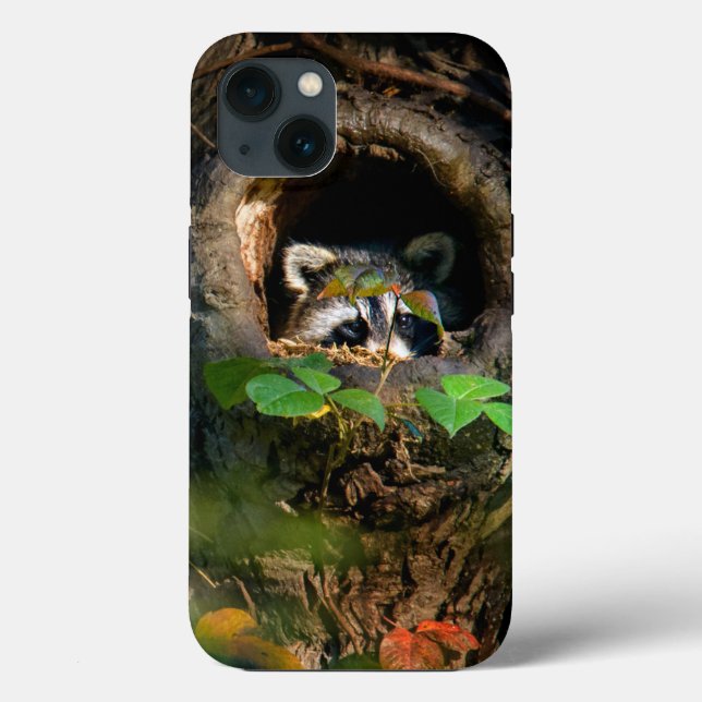 Forests | Racoon Peeking Case-Mate iPhone Case (Back)