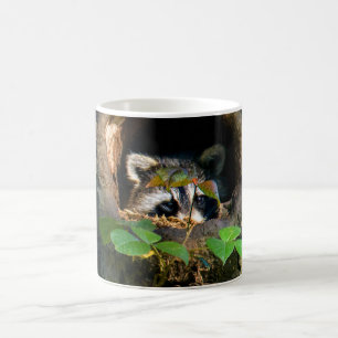 Forests   Racoon Peeking Coffee Mug