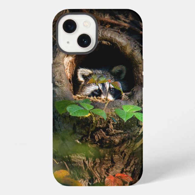 Forests | Racoon Peeking iPhone Case (Back)