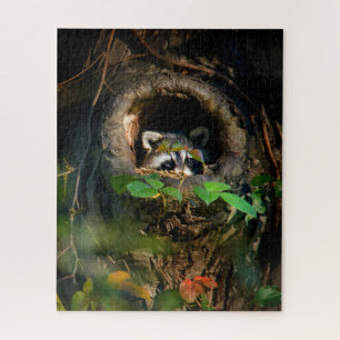Forests   Racoon Peeking Jigsaw Puzzle