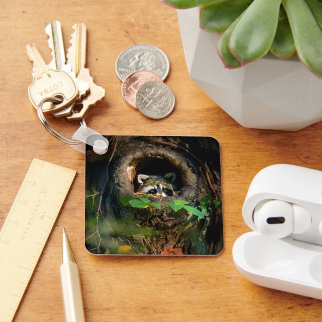 Forests | Racoon Peeking Key Ring (Desk)