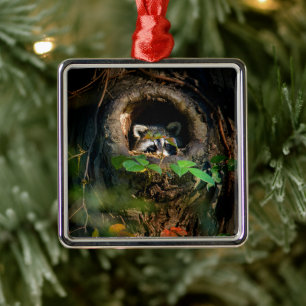 Forests Racoon Peeking Metal Ornament