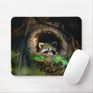 Forests   Racoon Peeking Mouse Pad