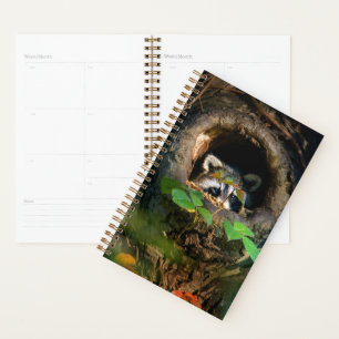 Forests Racoon Peeking Planner